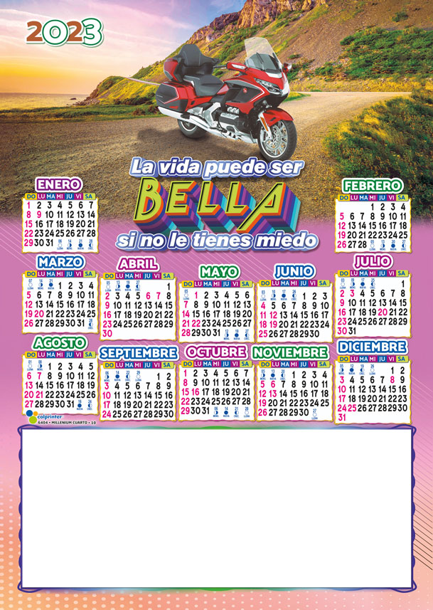 Almanaque Millenium Cartón ¼ 